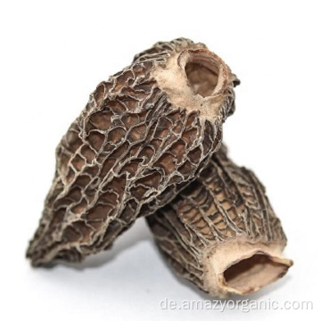 Natürliche Bio-Morchella Esculenta